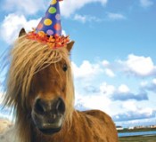 Today Is Our Birthday